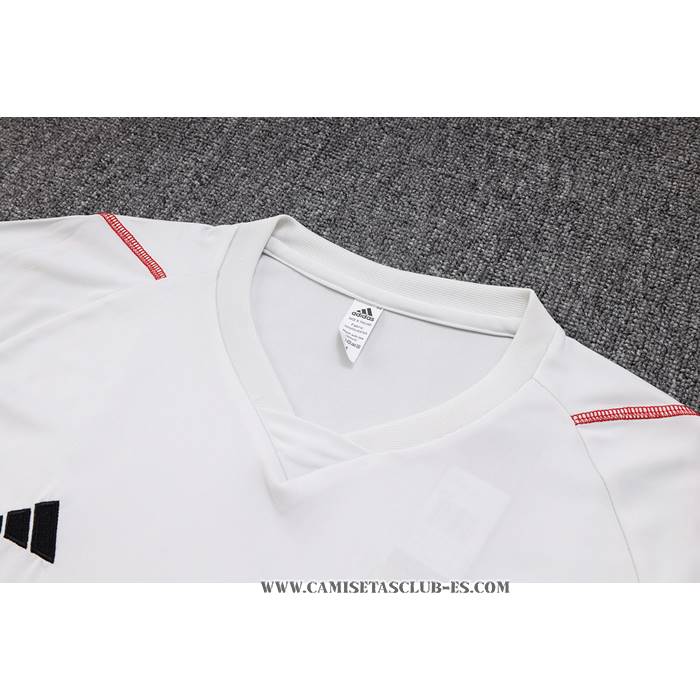 Chandal del Sao Paulo 23-24 Manga Corta Gris - Pantalon Corto